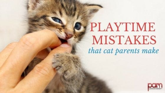 playtime mistakes that cat parents make