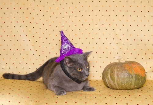 Shutterstock photo