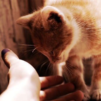 photo: Fotolia