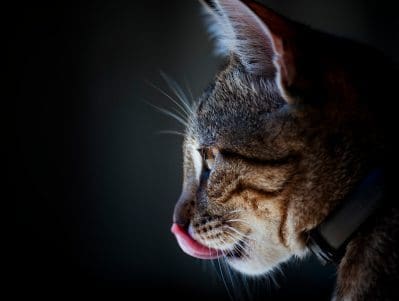 photo: iStock