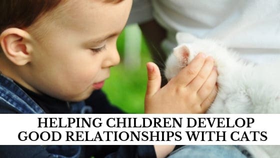 helping children develop good relationships with cats
