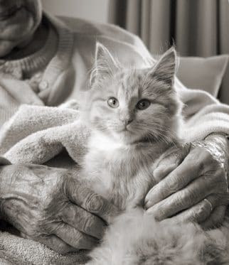 cat and senior