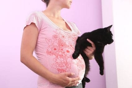cat and baby cats and children