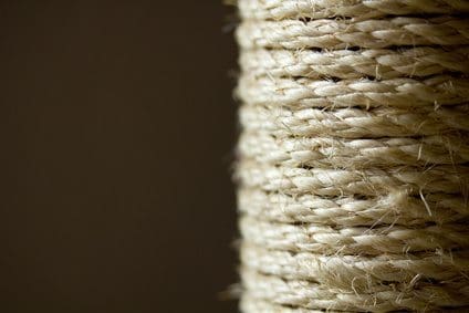 scratching post