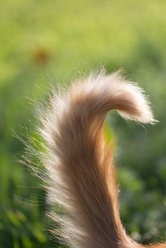 photo: Shutterstock