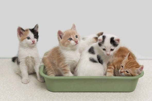 Photo: Fotolia